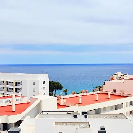 Ap368 - Coronado 67 -